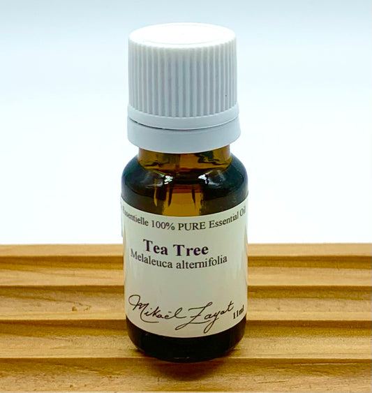 TEA TREE essential oil (Melaleuca alternifolia)